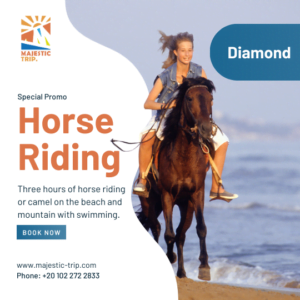 Our Diamond Ride offers a unique opportunity to connect with nature and experience the beauty of the beach and mountains like never before. Whether you choose to ride a horse or a camel, you'll be guided by experienced and friendly instructors who will ensure your safety and comfort throughout the journey.