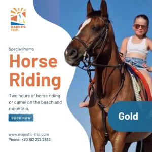 Embark on an unforgettable adventure with our special promo for horse riding. Spend two hours exploring the beautiful beach and mountain landscapes on the back of a majestic horse or a gentle camel.