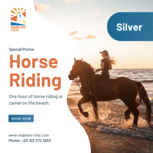 horse riding in red sea hurghada majestic trip company Three hours of horse riding or camel on the beach and mountain with swimming.